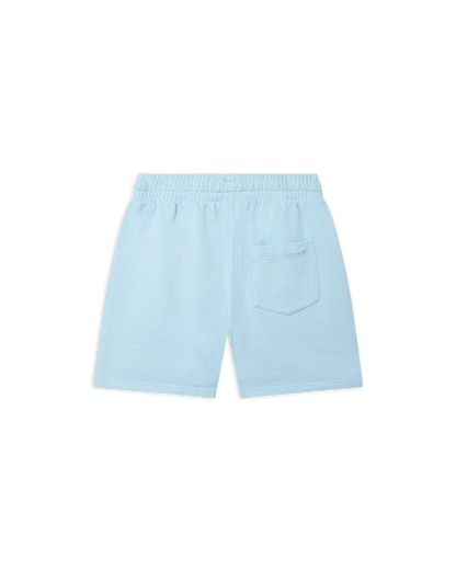 Blue Coachella Valley Sweatshorts
