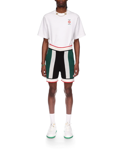 Striped Mesh Shorts